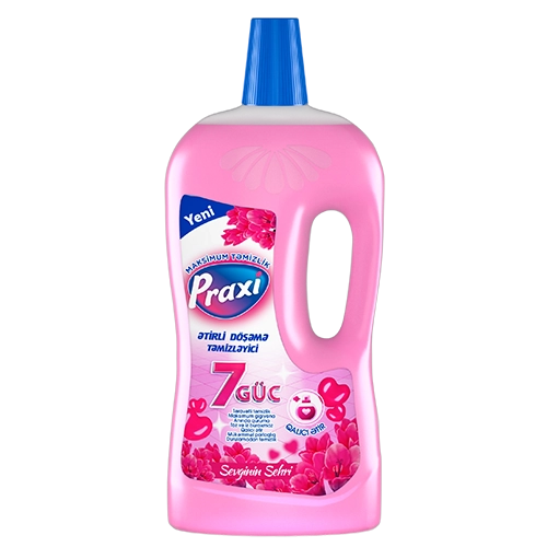Praxi